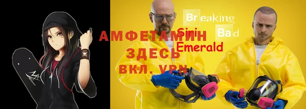 амф Дмитров